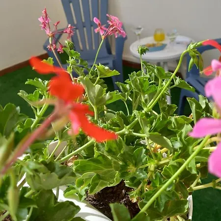 Lägenhet Sikelia Mazara del Vallo